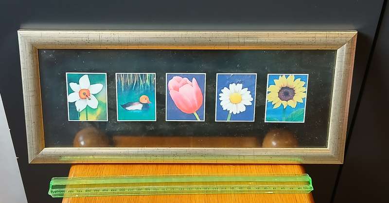 Pictures framed in glass x 8