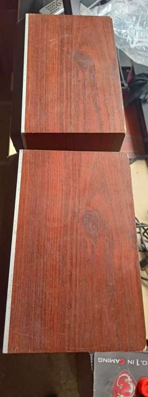 Bang and Olufsen Beovox S45 Speakers