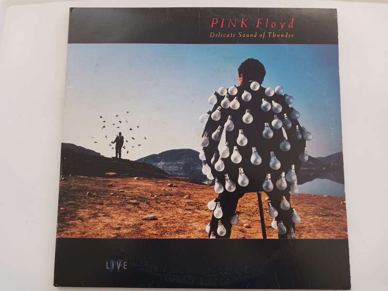 Pink Floyd - Delicate Sounder Of Thunder  ( 1988 SA released LP )