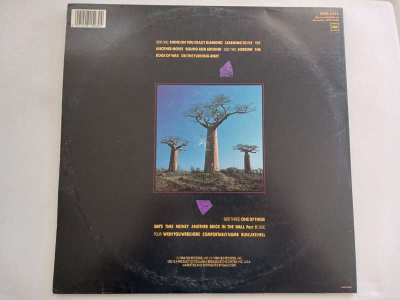 Pink Floyd - Delicate Sounder Of Thunder  ( 1988 SA released LP )