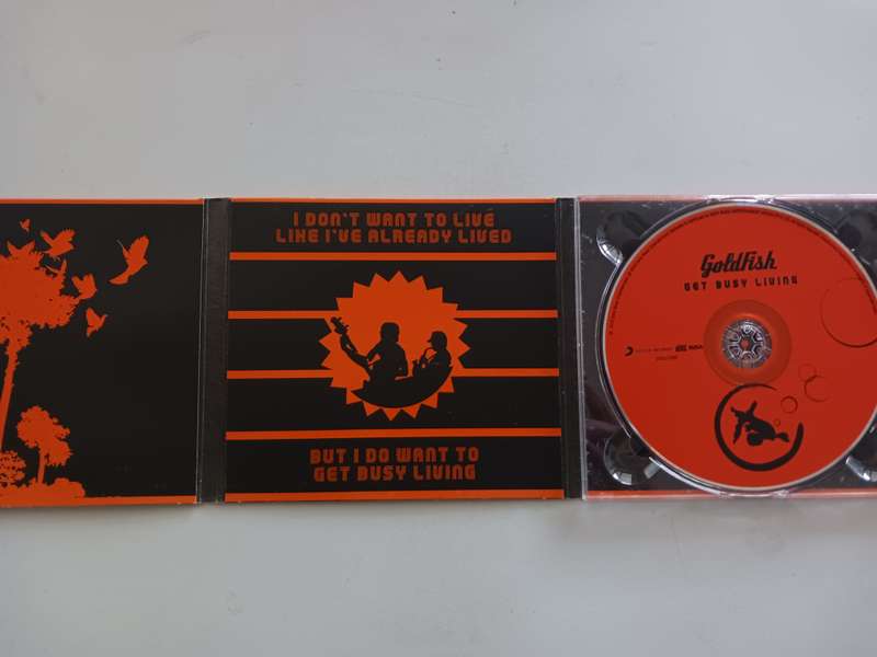 Goldfish (4) - Get Busy Living  ( 2010 SA released CD Digpak NM )