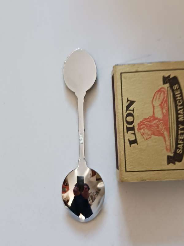 Small Stainless Steel souvenir Spoon ( Cape Town )