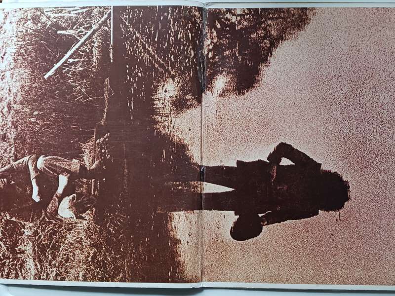 Rodger Daltrey - Daltrey  ( Scarce 1973 SA released LP )