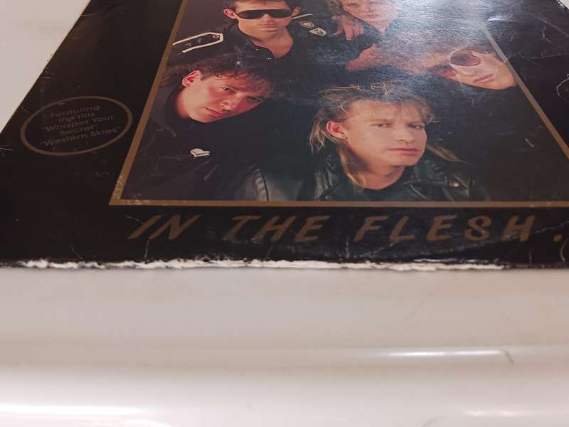 The Helicopters  - In The Flesh  ( Scarce 1987 SA released LP,from a SA band )