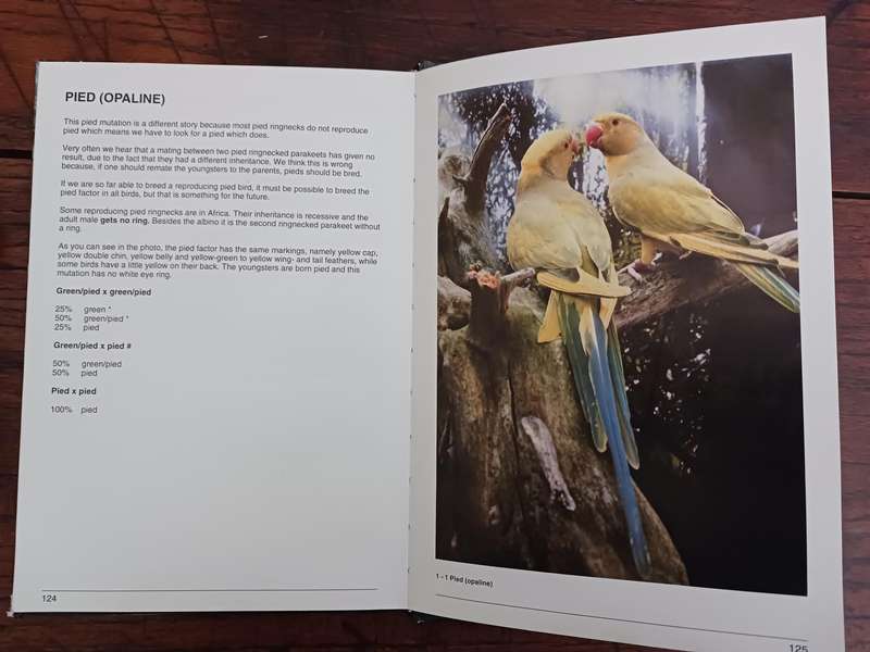 Ringnecked Parakeets and their Mutations by T. Bastiaan
