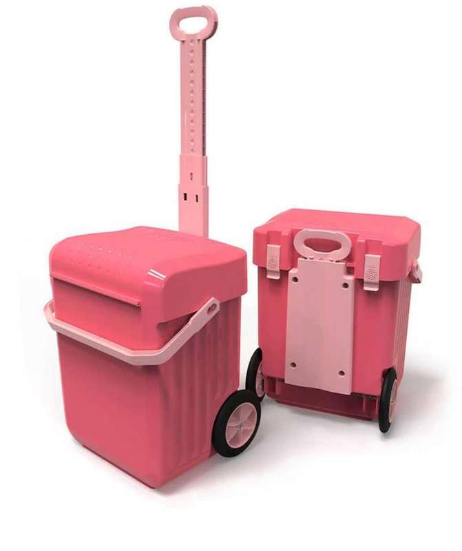 Weelie school trolley bag book bag school bookcase new color added #price dropped#