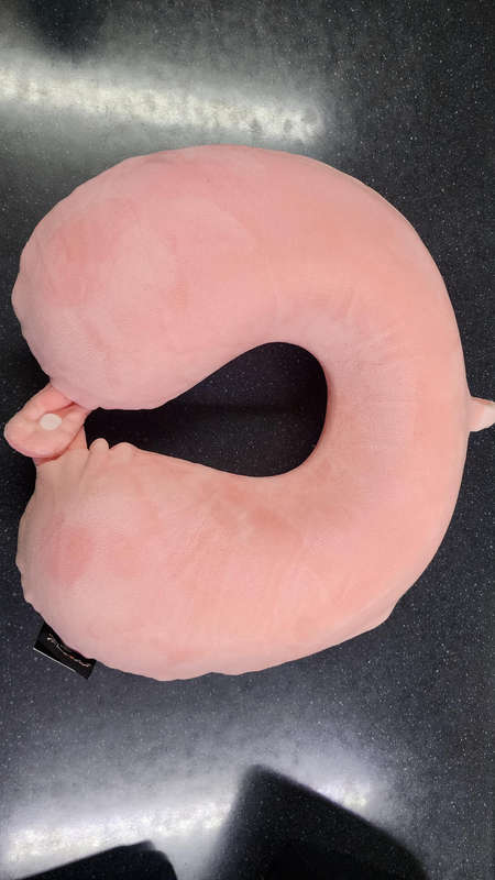 Travel Pillow U shape Pillow Neck Pillow Memory foam pillow