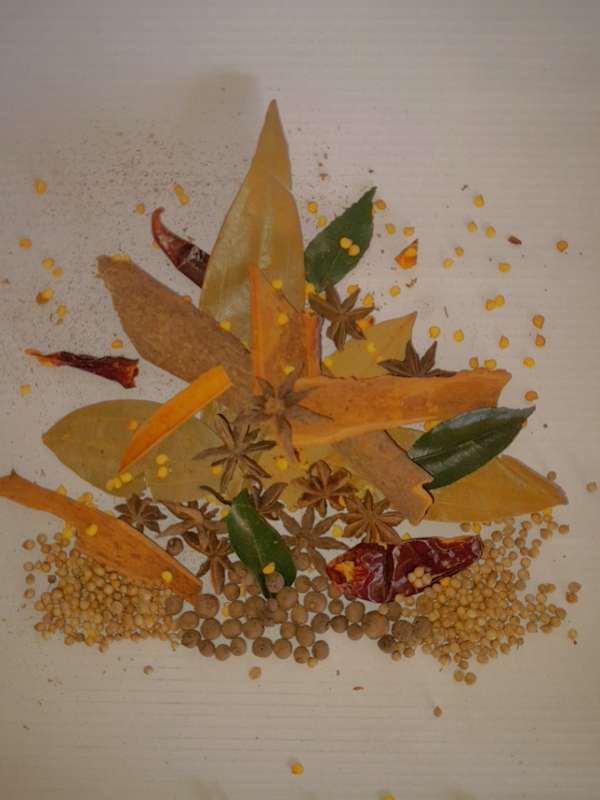 Chilli Thyme - Seasoning and Spices Plastic Bottle Shaker 50g