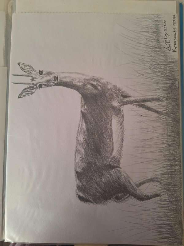 Kaapsehoop special art drawings