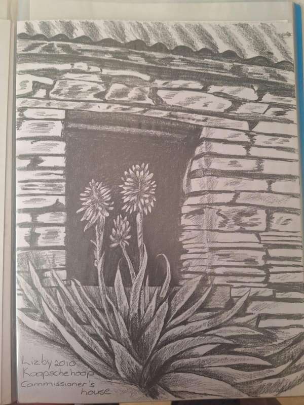 Kaapsehoop special art drawings