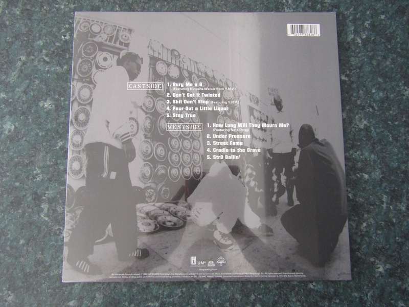 2Pac - Thug Life (LP)