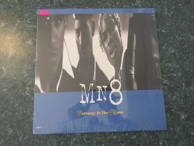 MN8  Pathway To The Moon (Vinyl LP)