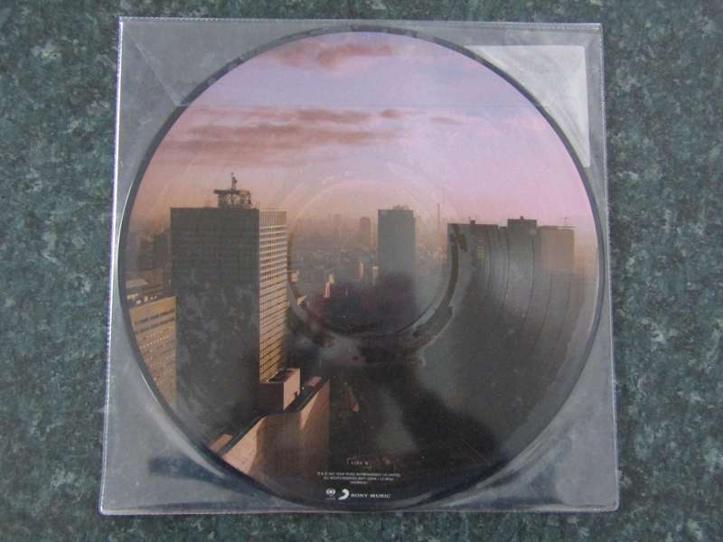 Manic Street Preachers - The Ultra Vivid Lament (Picture Disc LP)