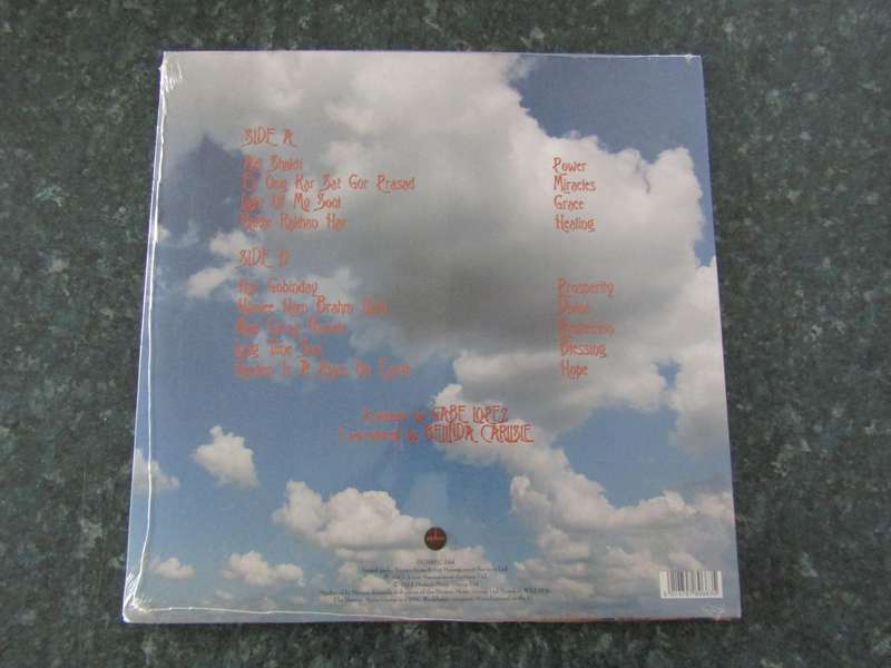 Belinda Carlisle - Wilder Shores (Vinyl LP)