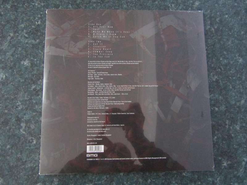 The Cranberries  In The End (Vinyl LP)