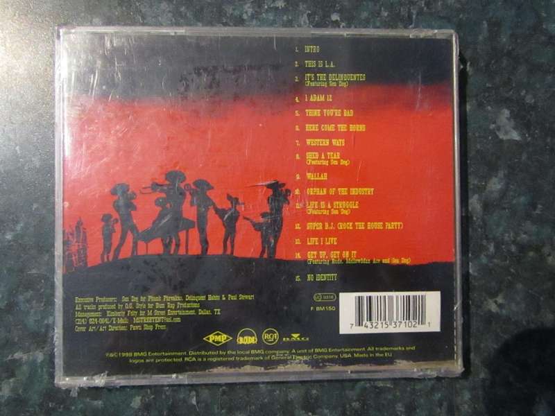 Delinquent Habits - Here Come The Horns (CD)