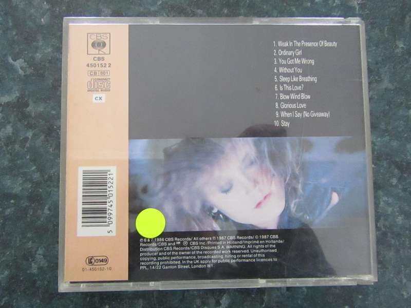 Alison Moyet - Raindancing (CD)
