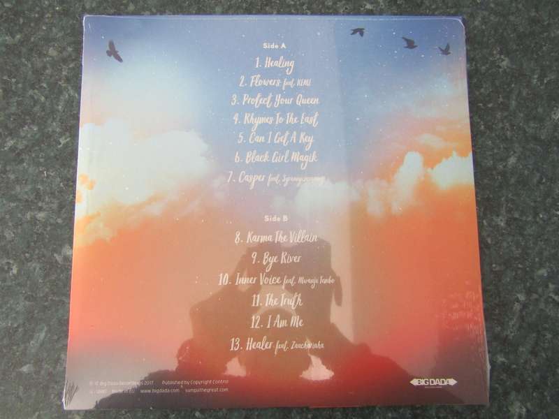 Sampa The Great - The Birds & The BEE9 (Vinyl LP)