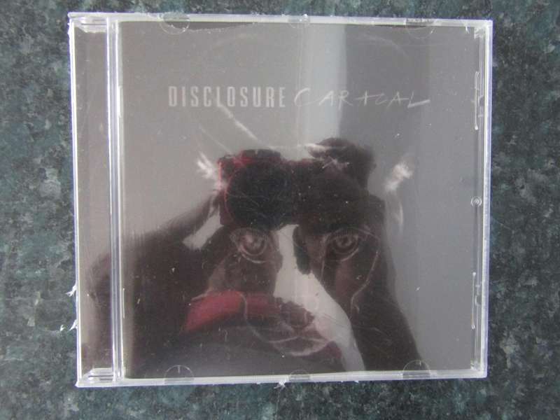 Disclosure - Caracal (CD)