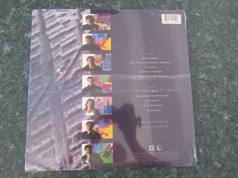 Chicago  Chicago 19 (Vinyl LP)