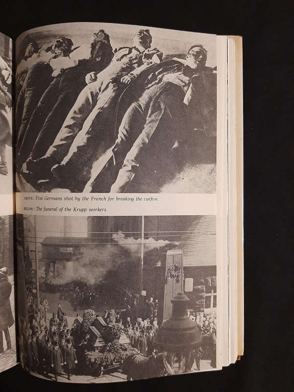 THE WEIMAR CHRONICLE - PRELUDE TO HITLER  - BOOK - ALEX DE JONGE