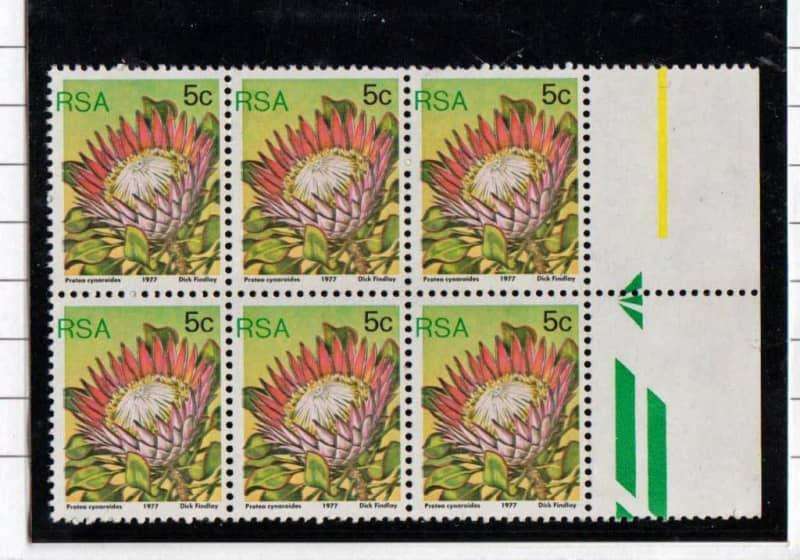 RSA Protea 5c Arrow block of 6 with RSA Shift to the left