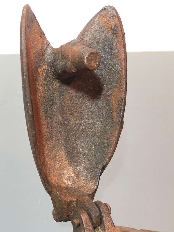A Heavy Cast Iron Cicada Door Knocker.