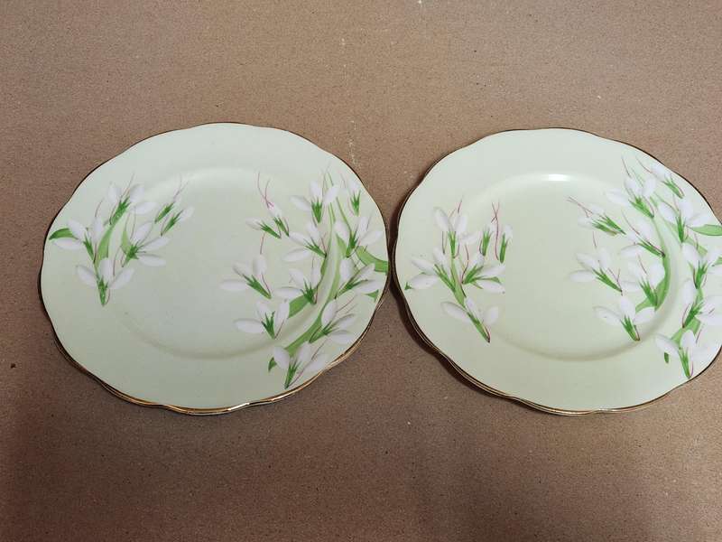 Vintage Royal Albert Bone China 1940s Laurentian Snowdrop Pair of Sideplates