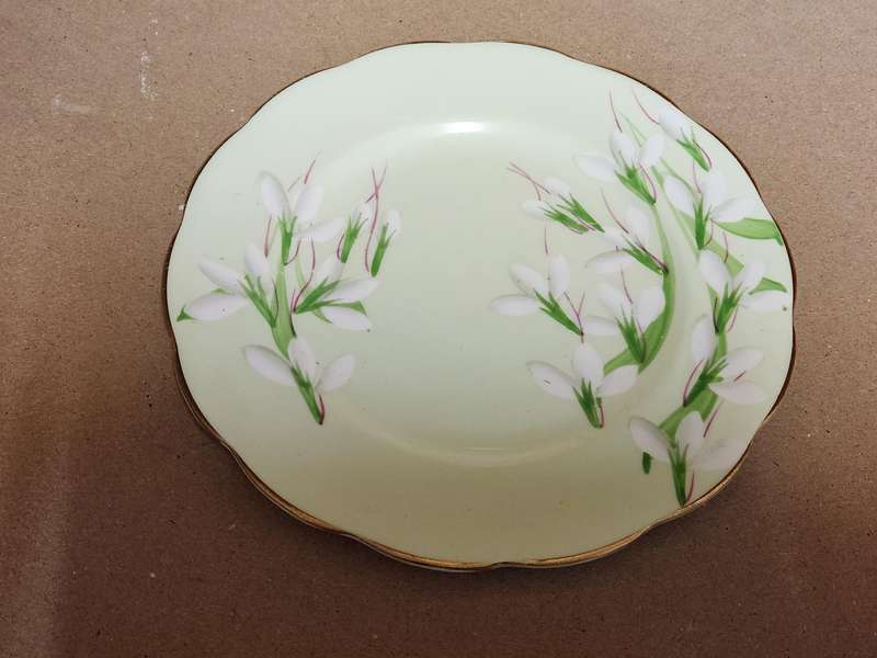 Vintage Royal Albert Bone China 1940s Laurentian Snowdrop Pair of Sideplates