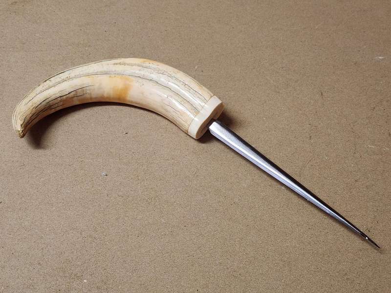 WARTHOG TUSK LETTER OPENER