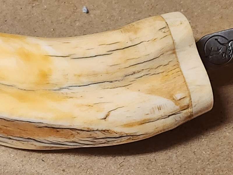 WARTHOG TUSK LETTER OPENER