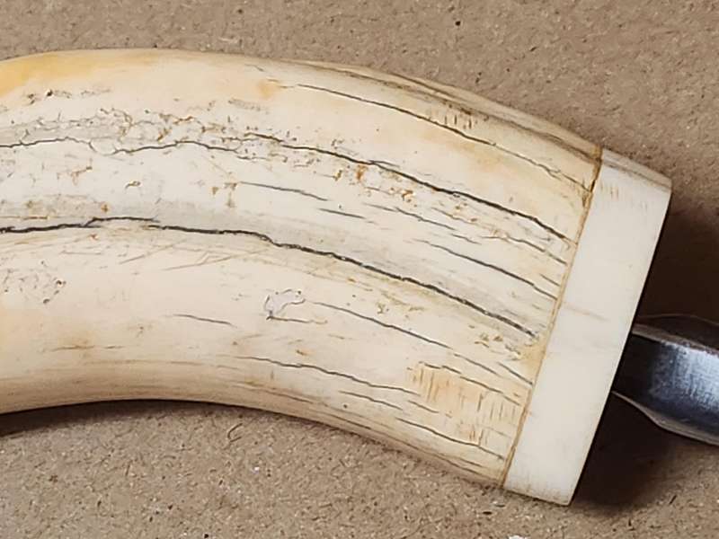 WARTHOG TUSK LETTER OPENER