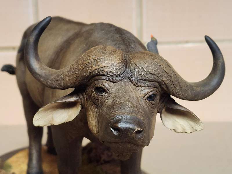 THE SILKWOODS OF KNYSNA MILLENIUM BUFFALO SCULPTURE ON A WOODEN BASE