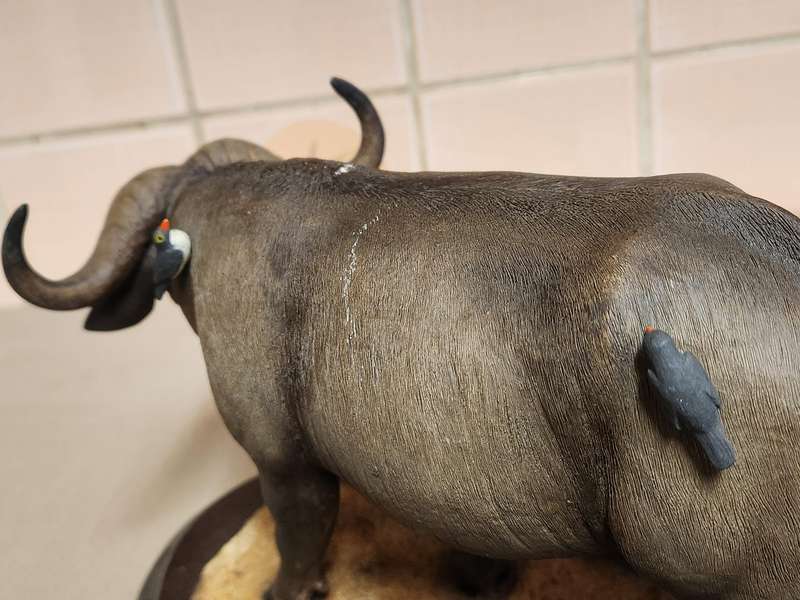 THE SILKWOODS OF KNYSNA MILLENIUM BUFFALO SCULPTURE ON A WOODEN BASE
