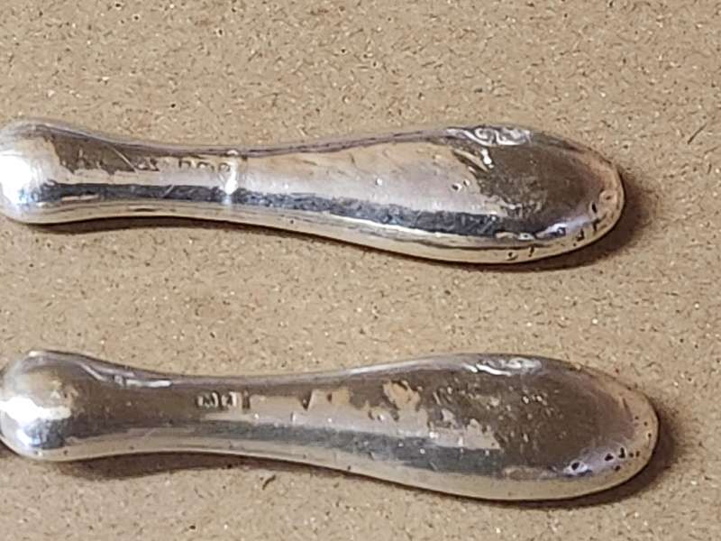 STERLING SILVER HANDLED BUTTON HOOK AND SHOE HORN