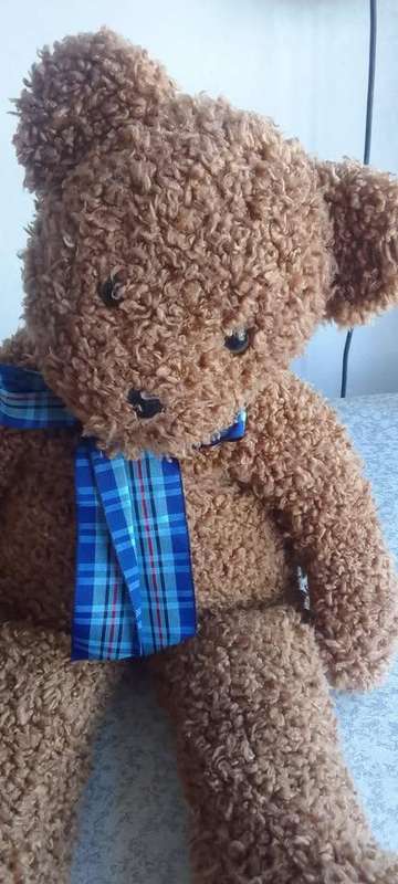 Large Vintage Teddy Bear - L - 52cm