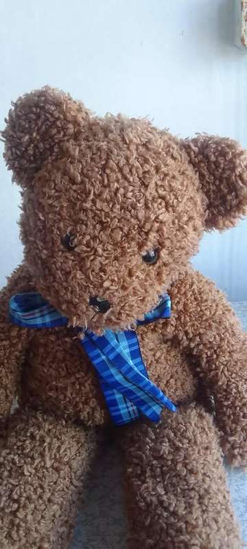 Large Vintage Teddy Bear - L - 52cm