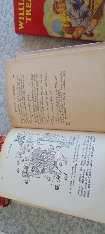 A Collection Of William Books - Richmal Crompton