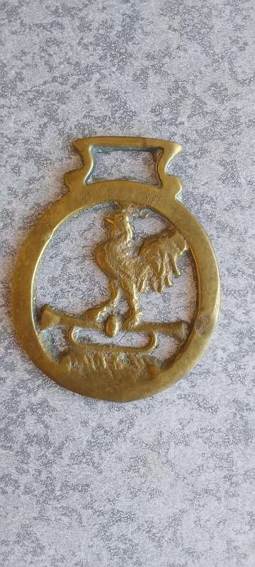 A Collection Of Brass Horse