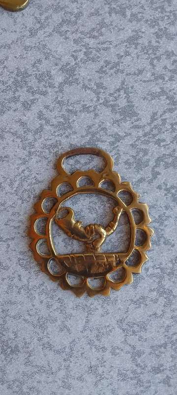 A Collection Of Brass Horse