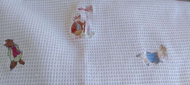Stunning  Embroidered Baby Blanket