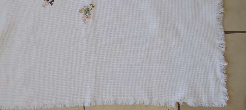 Stunning  Embroidered Baby Blanket