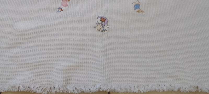 Stunning  Embroidered Baby Blanket