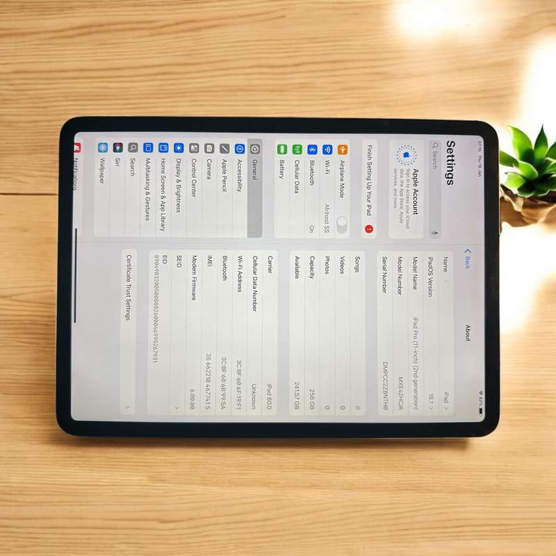 iPad Pro (11-inch, 2020, 2nd Generation) Wi-Fi + Cellular