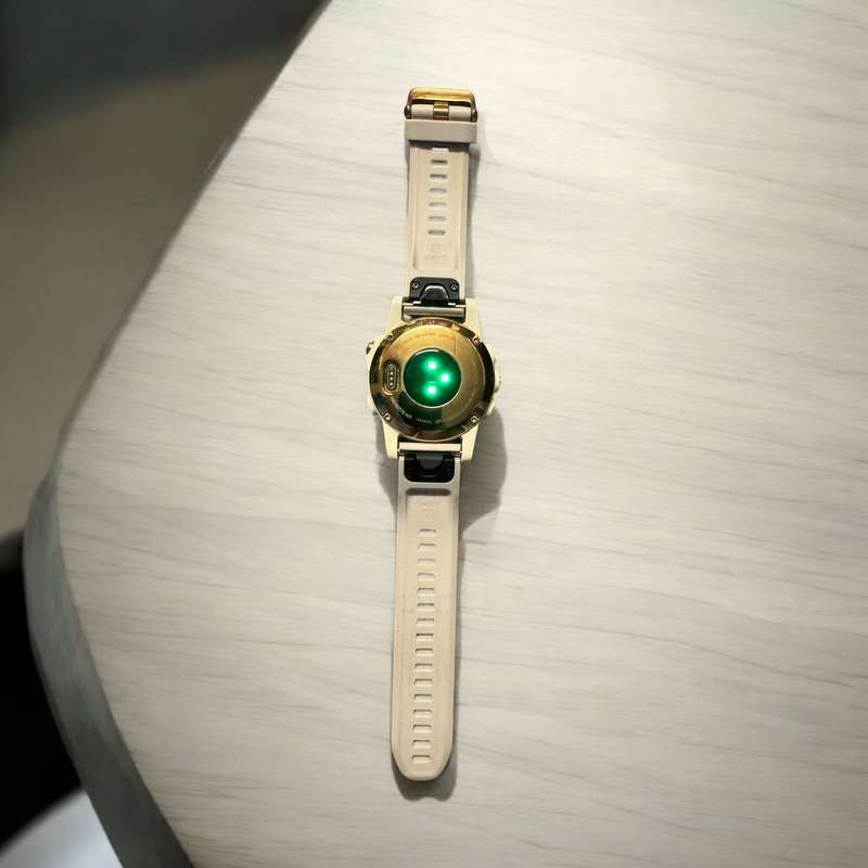 Garmin fēnix® 5S Plus