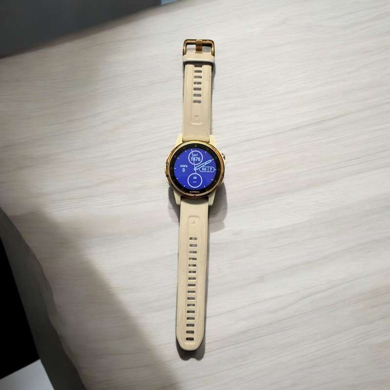 Garmin fēnix® 5S Plus