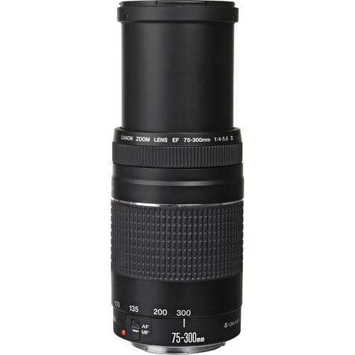 Canon Ef 75-300Mm F4-5.6 Iii Zoom Lens