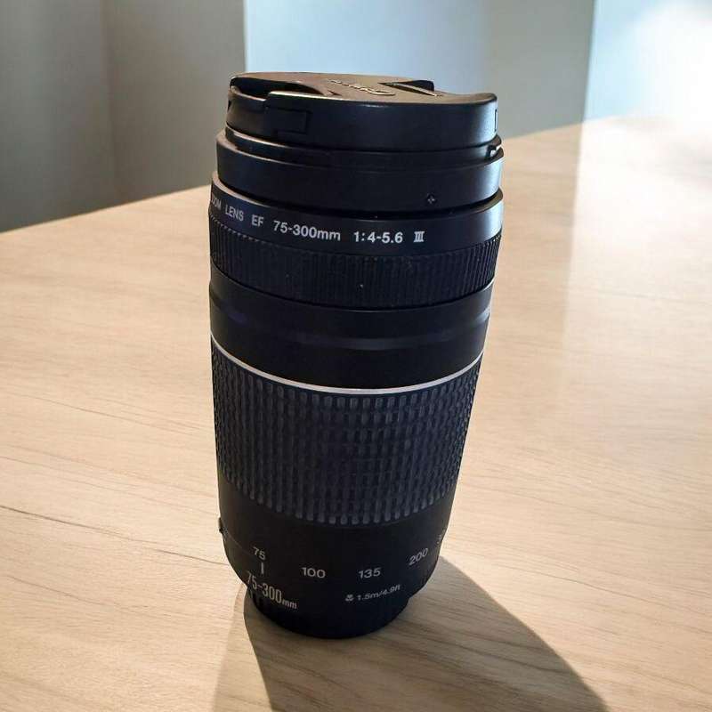 Canon Ef 75-300Mm F4-5.6 Iii Zoom Lens