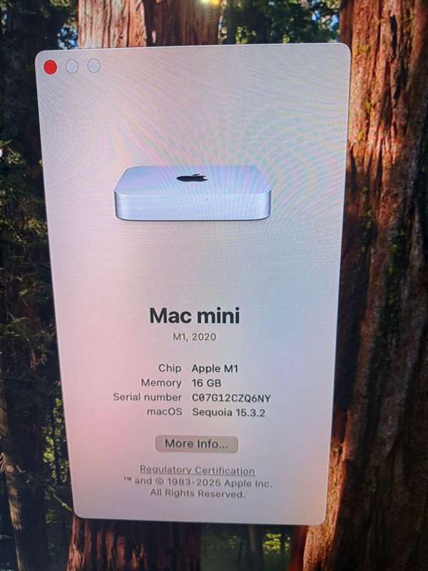 Apple mac mini 2020 m1 16gb ram 256gb ssd mint
