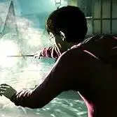 Harry Potter and the Deathly Hallows (Play Station 3/PS3 Game)